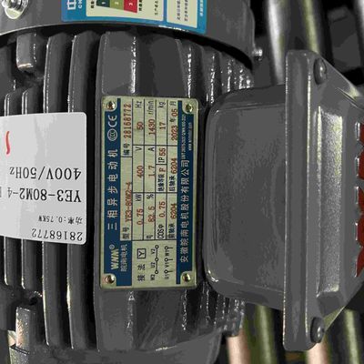 Cast Iron Low Power High Efficiency Electric Motors For Conveyors