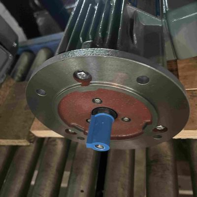 High Efficiency Three Phase Low Voltage Electric Motor For Vapor Area