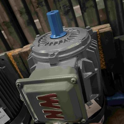 Dust Proof Explosion Proof Three Phase Electrical Motor With CE